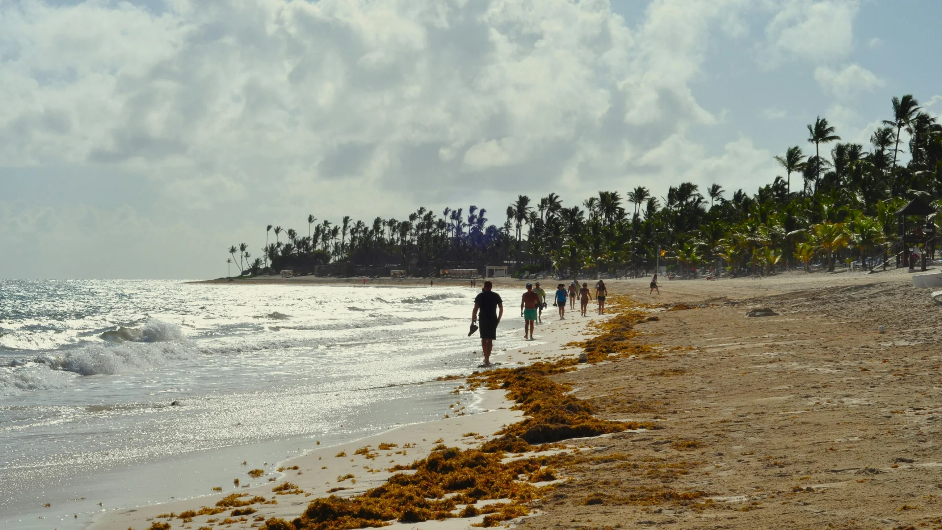Playa tropical caribeña con aguas turquesas — el sargazo que invade estas costas puede transformarse en bioestimulantes y biofertilizantes orgánicos de alto valor agrícola